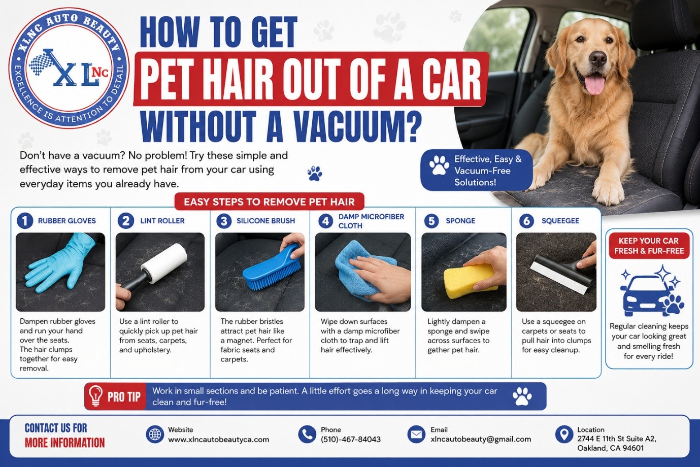How To Get Pet Hair Out Of A Car Without A Vacuum